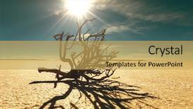  Presentation with bolivia tourism - Theme consisting of natural wonders - salar de uyuni bolivia background and a yellow colored foreground