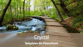  Presentation with park - Amazing presentation theme having nature - boardwalk in the park backdrop and a coral colored foreground