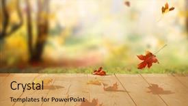  Presentation with falling leaves - Slides featuring nature - colorful maple leaves on wooden background and a yellow colored foreground