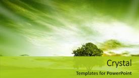  Presentation with green nature - PPT layouts with nature - green landscape background and a yellow colored foreground