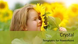  Presentation with sunflower - Amazing slide deck having nature - happy little girl smelling backdrop and a gold colored foreground