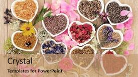  Presentation with honey bee - Presentation theme enhanced with nature - healing herb and flower selection background and a coral colored foreground