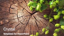  Presentation with vintage art - Amazing slide set having nature - hop twig over old wooden backdrop and a tawny brown colored foreground