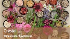  Presentation with alternative medicine - Slide deck featuring nature - natural alternative medicine for skin background and a coral colored foreground