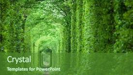  Presentation with green nature - Theme with nature - real tunnel of love background and a forest green colored foreground