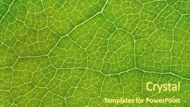  Presentation with structure - Presentation theme enhanced with nature - structure of leaf natural background background and a tawny brown colored foreground