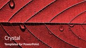  Presentation with wood texture - Beautiful PPT theme featuring nature - texture of the wood sheet backdrop and a tawny brown colored foreground