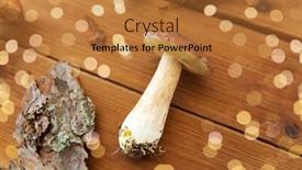 Presentation with environment - Amazing slide set having nature-and-environment-concept-boletus backdrop and a gold colored foreground
