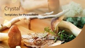  Presentation with environment - Slide set enhanced with nature-and-environment-concept-boletus background and a coral colored foreground