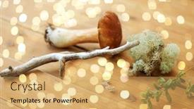  Presentation with environment - Beautiful PPT theme featuring nature-and-environment-concept-boletus backdrop and a yellow colored foreground
