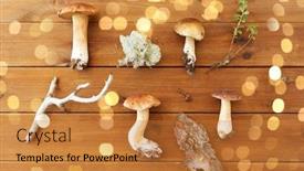  Presentation with environment - Audience pleasing PPT theme consisting of nature-and-environment-concept-boletus backdrop and a gold colored foreground