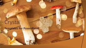  Presentation with environment - Audience pleasing slides consisting of nature-and-environment-concept-different backdrop and a gold colored foreground