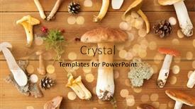  Presentation with environment - Amazing slides having nature-and-environment-concept-different backdrop and a gold colored foreground