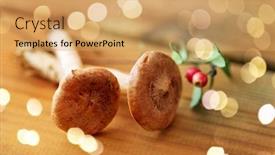  Presentation with environment - Presentation theme consisting of nature-and-environment-concept-lactarius background and a yellow colored foreground