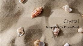  Presentation with sea shells - Slide deck with nature-and-summer-holidays-concept background and a coral colored foreground