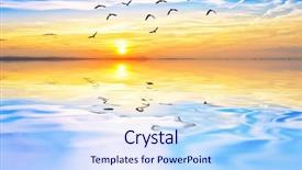  Presentation with birds - PPT layouts featuring nature animals - clouds and birds look background and a  colored foreground