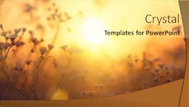  Presentation with nature meadow baby and child - PPT layouts having nature-backdrop-beautiful-meadow background and a blonde colored foreground