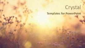  Presentation with flowers - Cool new theme with nature-backdrop-beautiful-meadow backdrop and a cream colored foreground