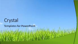  Presentation with spring nature grass - Theme with nature background grass and sky background and a light blue colored foreground