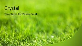  Presentation with pink and green nature - Cool new theme with nature background green luscious grass backdrop and a yellow colored foreground