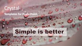  Presentation with simple nature - Presentation design featuring nature background simple is better background and a coral colored foreground