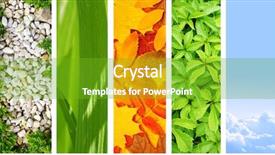  Presentation with vertical - Colorful PPT theme enhanced with nature banners backdrop and a shamrock green colored foreground