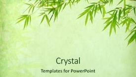  Presentation with antique paper texture - Presentation theme consisting of nature clip art - bamboo on old antique paper background and a soft green colored foreground