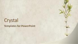  Presentation with antique paper texture - PPT theme with nature clip art - bamboo on old grunge antique background and a lemonade colored foreground