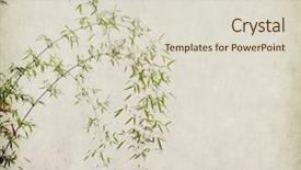  Presentation with antique paper texture - Slide deck featuring nature clip art - bamboo on old grunge antique background and a lemonade colored foreground