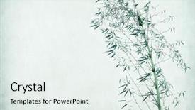  Presentation with bamboo paper - PPT layouts consisting of nature clip art - branches of a bamboo background and a sky blue colored foreground