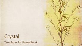  Presentation with bamboo paper - Colorful PPT layouts enhanced with nature clip art - branches of a bamboo backdrop and a lemonade colored foreground