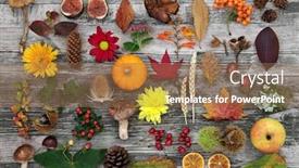  Presentation with food festival - Slide deck enhanced with nature-composition-in-autumn background and a coral colored foreground