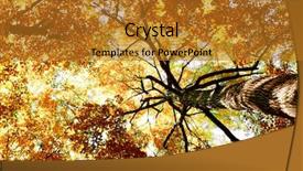  Presentation with barn wood autumn apples - PPT layouts featuring nature details - autumn leaves woods landscape background and a gold colored foreground