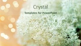  Presentation with botany - Cool new PPT theme with nature-environment-and-botany-close backdrop and a soft green colored foreground