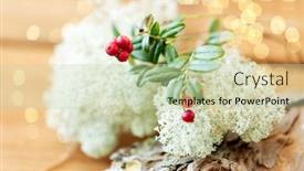  Presentation with botany - Theme featuring nature-environment-and-botany-close background and a soft green colored foreground