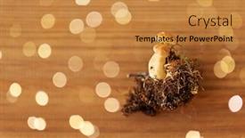  Presentation with environment - Presentation design with nature-environment-and-edible-mushrooms background and a gold colored foreground