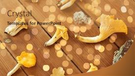  Presentation with mushrooms - PPT theme having nature-environment-and-edible-mushrooms background and a yellow colored foreground