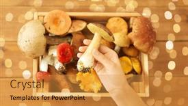  Presentation with environment - PPT theme consisting of nature-environment-and-harvest-concept background and a gold colored foreground