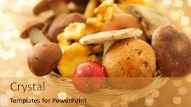  Presentation with harvest - PPT theme enhanced with nature-environment-and-harvest-concept background and a gold colored foreground
