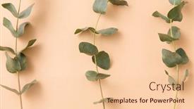  Presentation with green nature - Amazing presentation design having nature-flora-and-plants-concept backdrop and a lemonade colored foreground