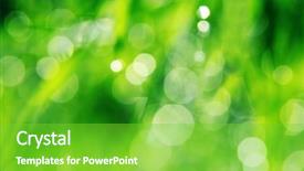  Presentation with green morning - Beautiful slides featuring nature green drop - close up of fresh morning backdrop and a seafoam green colored foreground