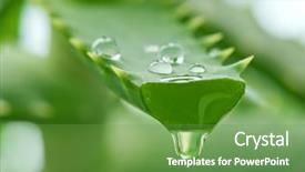  Presentation with juice - PPT theme featuring sunshine flow - colorful landscape with a stream background and a tawny brown colored foreground.