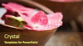  Presentation with floating solar farm - Presentation theme enhanced with nature healing - detail of hortensia petals floating background and a tawny brown colored foreground