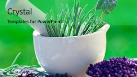  Presentation with alternative medicine - Slide deck consisting of nature healing - fresh lavender herbs background and a shamrock green colored foreground