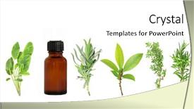  Presentation with aromatherapy oil - Cool new presentation design with nature healing - herb leaf selection of lavender backdrop and a white colored foreground