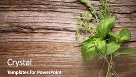  Presentation with herbs - Cool new theme with nature healing - herbs on wooden table closeup backdrop and a tawny brown colored foreground
