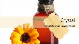  Presentation with calendula - Colorful presentation design enhanced with young mother and daughter sit at the five-year crib the crib is on a two-month baby on her back backdrop and a lemonade colored foreground