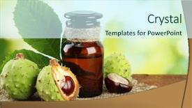  Presentation with green leaves - Presentation having nature healing - medicine bottle with chestnuts background and a cool aqua colored foreground