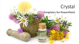  Presentation with essential oil - PPT theme having nature healing - mortar with fresh flowers background and a white colored foreground