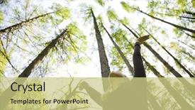  Presentation with sunlight - Cool new slide set with nature humans - young woman enjoying the sunlight backdrop and a yellow colored foreground